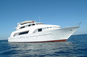 Dive Safaris and Scuba Cruise Info MY Blue Seas Dive Safaris and Scuba Cruises MY Blue Seas