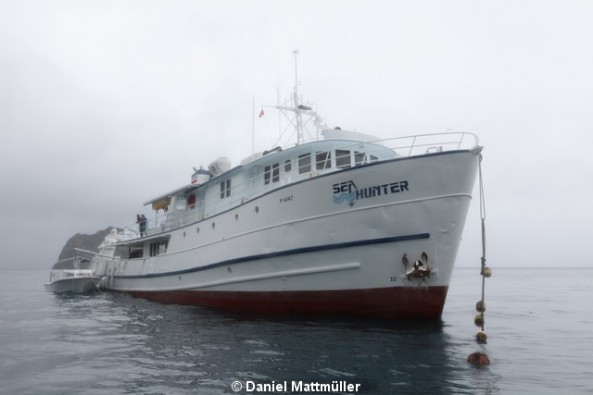 MV Sea Hunter Liveaboards MV Sea Hunter Liveaboards Main Image