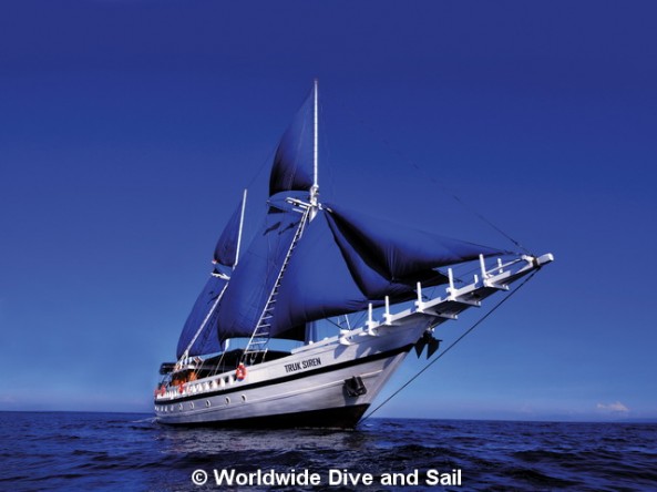 Dive Safaris and Scuba Cruise Info S/Y Truk Siren Dive Safaris and Scuba Cruises S/Y Truk Siren