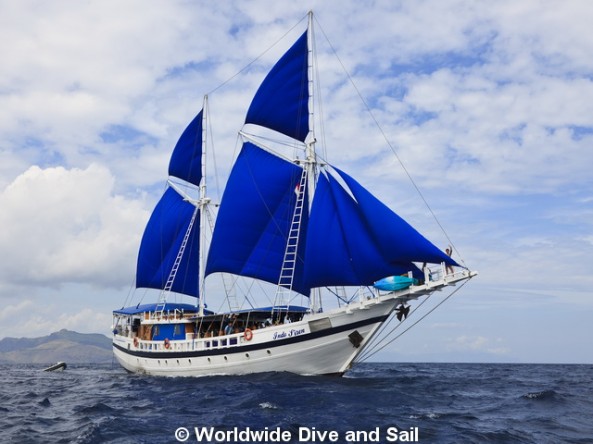 Dive Safaris and Scuba Cruises SY Indo Siren