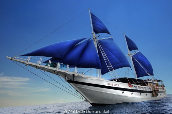 SY Palau Siren  Liveaboards Main Image