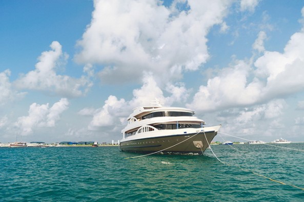 MV Emperor Orion Liveaboards MV Emperor Orion Liveaboards Main Image