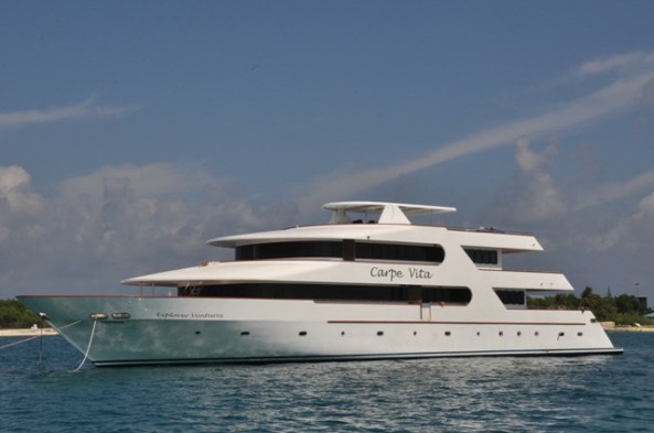 MV Carpe Vita Explorer Liveaboards MV Carpe Vita Explorer Liveaboards Main Image
