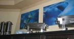 MV Seven7Seas 02304004_7kabine Liveaboards 02304004_7kabine.jpg