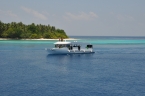 Liveaboards 02489005_carpevitaneudiveboat.jpg