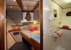 MV Febrina 08458371_mvfebrinacabin7 Liveaboards 08458371_mvfebrinacabin7.jpg