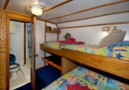 MV Febrina 08458374_mvfebrinatwincabin4 Liveaboards 08458374_mvfebrinatwincabin4.jpg