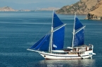Indo Aggressor 10703052_komododancer_yacht640 Liveaboards 10703052_komododancer_yacht640.jpg