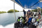 Rock Island Aggressor 10716878_tropic_dancer_tender640 Liveaboards 10716878_tropic_dancer_tender640.jpg
