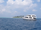 MY Sheena 21576646_sheenaneu Liveaboards 21576646_sheenaneu.jpg