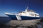Bahamas Aggressor 23509159_carib_dancer_bahamas_640 Liveaboards 23509159_carib_dancer_bahamas_640.jpg