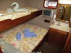 Bahamas Aggressor 23509508_carib_dancer_cabin640 Liveaboards 23509508_carib_dancer_cabin640.jpg