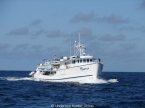 MV Sea Hunter 33108150_seahunteraussenc Liveaboards 33108150_seahunteraussenc.jpg