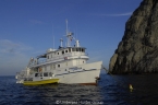 MV Undersea Hunter 33111344_underseahunteraussen640c Liveaboards 33111344_underseahunteraussen640c.jpg