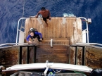 MV Odyssey 41456677_odyssey_backdeck_640 Liveaboards 41456677_odyssey_backdeck_640.jpg