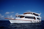 Last Minute Maldives Liveaboard Cruise- save 50 % on the cruise rate Last Minute Maldives Liveaboard Cruise- save 50 % on the cruise rate