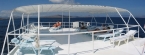 Liveaboards 68653758_mermaid_sun_deck.jpg