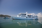 M/V Yemaya 69339556_komplette_seitenansicht_samt_beiboot Liveaboards 69339556_komplette_seitenansicht_samt_beiboot.jpg