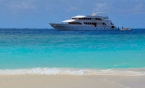 MV Carpe Diem 72704005_carpeinselneu Liveaboards 72704005_carpeinselneu.jpg