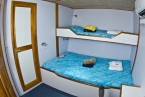 M/V Ocean Hunter III 78137681_oh3_standard_cabin Liveaboards 78137681_oh3_standard_cabin.jpg