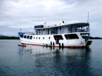 M/V Bilikiki 81936317_bilikikiback Liveaboards 81936317_bilikikiback.jpg